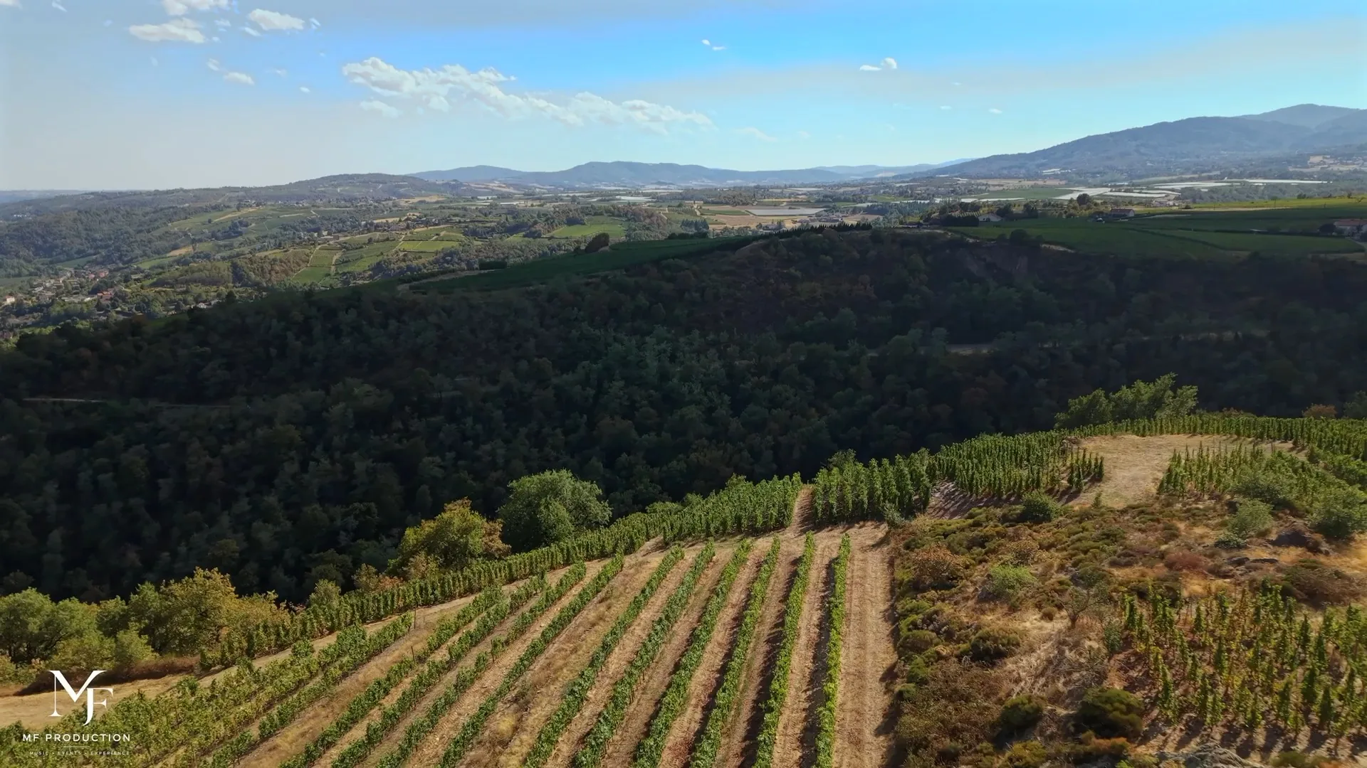 Vendanges et savoir-faire du Domaine Stéphane Montez